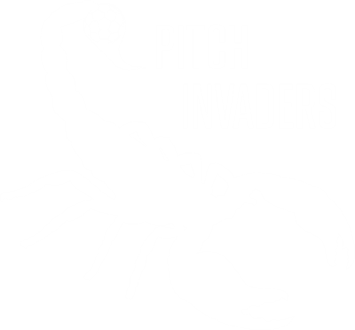 Pitch Invaders